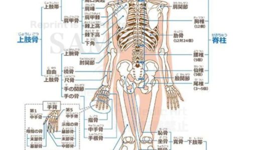 あごのズレが整うとな、なぜ体まで軽くなるの？